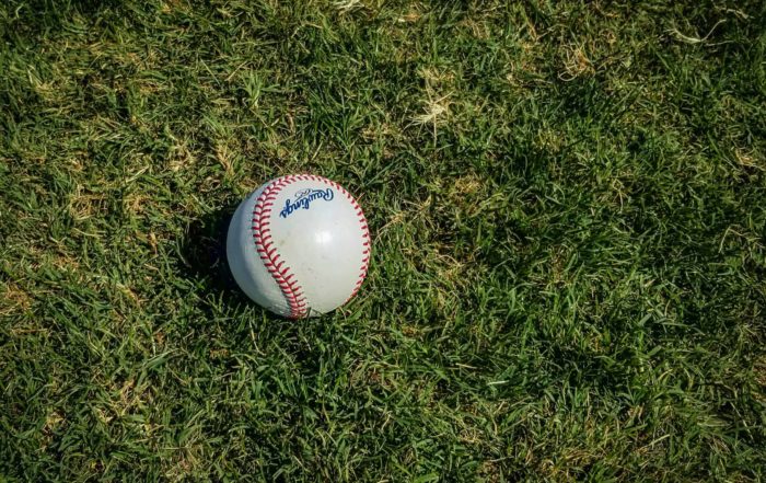 Image of a baseball in the grass